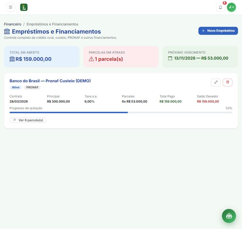 Empréstimos e financiamentos